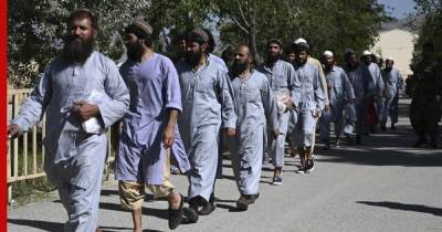 Сухейль Шахин - В Афганистане освобождены почти 3,9 тыс. пленных талибов - profile.ru - США - Афганистан - Катар - Талибан