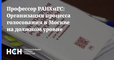 Профессор РАНХиГС: Организация процесса голосования в Москве на должном уровне - nsn.fm - Москва - Россия