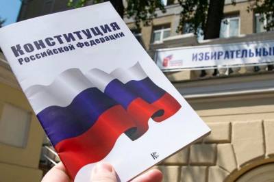 Политолог объяснила необходимость участия в голосовании по поправкам - aif.ru