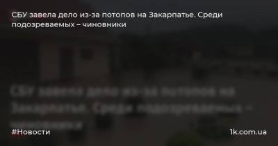 СБУ завела дело из-за потопов на Закарпатье. Среди подозреваемых – чиновники - 1k.com.ua - Украина - Ивано-Франковская обл.