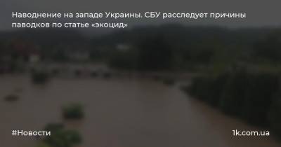 Наводнение на западе Украины. СБУ расследует причины паводков по статье «экоцид» - 1k.com.ua - Украина - Ивано-Франковская обл.