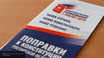 Явка на онлайн-голосование по Конституции составила 75% - newinform.com - Москва - Россия - Нижегородская обл.