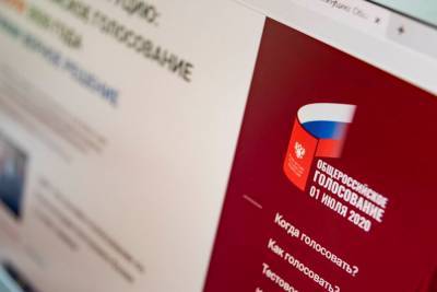 Артем Костырко - Попытку атаки совершили на систему онлайн-голосования по поправкам - vm.ru - Москва - Россия - Конституция