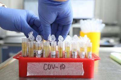 Сумия Сваминатан - Представитель ВОЗ назвала количество разрабатываемых вакцин от COVID-19 - vm.ru - Россия