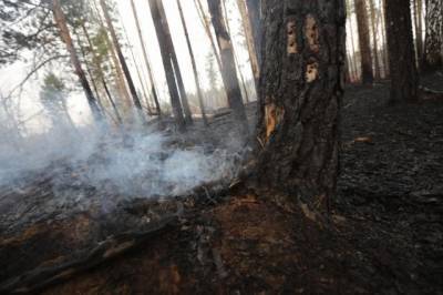 В Иркутской области локализован лесной пожар, из-за которого ввели ЧС - aif.ru - Иркутская обл.