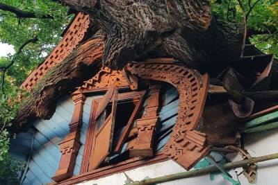 В центре Рязани на деревянный исторический дом рухнул вяз - rzn.mk.ru - Рязань