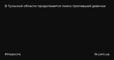 Сергей Галкин - Владимир Усов - В Тульской области продолжается поиск пропавшей девочки - 1k.com.ua - Украина - Тульская обл. - район Киреевский