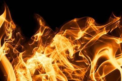 11 человек тушили пожар в квартире в Ваулино - mk-pskov.ru - Псков - район Псковский