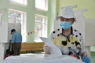Элла Памфилова - Явка на голосовании по поправкам к Конституции за три дня составила 28,46 процента - vm.ru - Россия