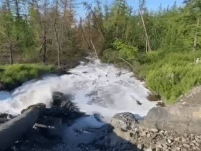 «Норникель» сливает ядовитые отходы в озеро Пясино - live24.ru - Красноярский край - Норильск