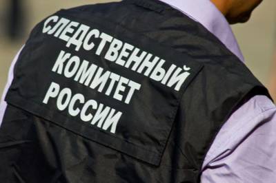 "Норникель" опять стал фигурантом экологического скандала - infox.ru - Красноярский край - респ. Хакасия - Норильск