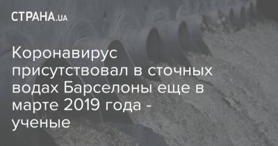 Коронавирус присутствовал в сточных водах Барселоны еще в марте 2019 года - ученые - strana.ua - Испания - Барселона