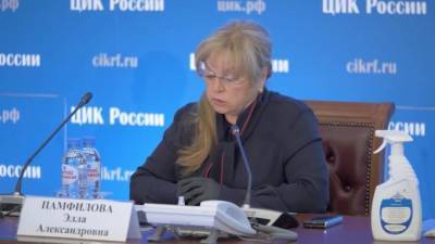 Элла Памфилова - ЦИК обновила данные по явке на голосовании по поправкам в Конституцию - piter.tv - Россия