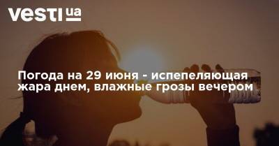 Наталья Диденко - Погода на 29 июня - испепеляющая жара днем, влажные грозы вечером - vesti.ua - Украина