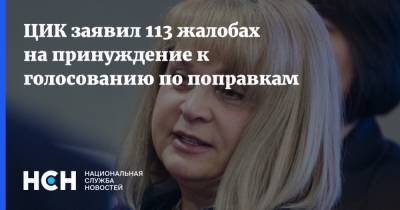 Элла Памфилова - ЦИК заявил 113 жалобах на принуждение к голосованию по поправкам - nsn.fm - Россия