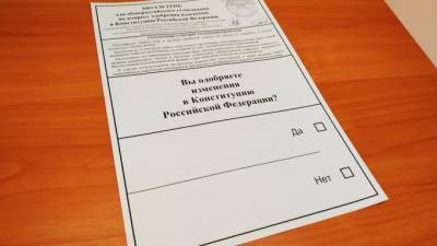 Эксперты спрогнозировали явку на голосование по поправкам в Конституцию - piter.tv - Россия
