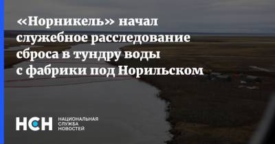 «Норникель» начал служебное расследование сброса в тундру воды с фабрики под Норильском - nsn.fm - Норильск