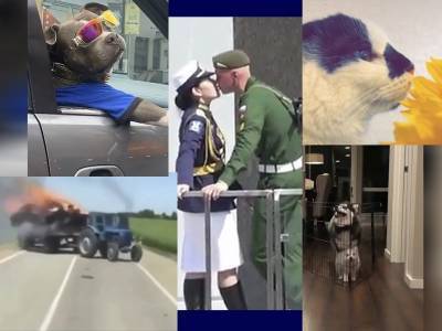Самые интересные видео 28 июня - bloknot.ru - Москва - Тверь