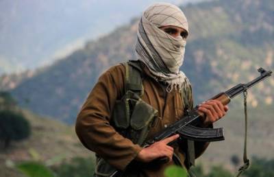 Талибы заявили об освобождении 21 пленного силовика - news-front.info - Россия - Афганистан - Катар - Кабул