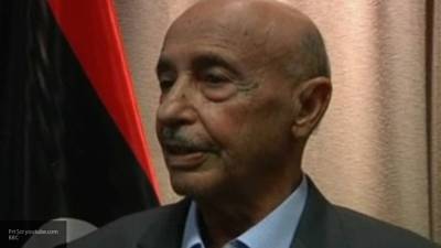 Салех назвал абсолютно законной позицию президента Египта по ливийскому кризису - newinform.com - Египет - Турция - Ливия - Каир - Триполи