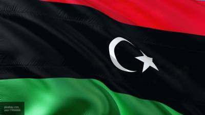 Агила Салех - Абдель Фаттаха - Председатель Палаты представителей поддержал позицию главы Египта по ливийскому кризису - nation-news.ru - Египет - Ливия - Триполи