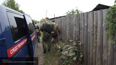 Труп пропавшей под Тулой 13-летней девочки нашли в лесополосе вблизи ее поселка - newinform.com - Россия - Тула - Тульская обл. - район Киреевский