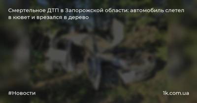 Смертельное ДТП в Запорожской области: автомобиль слетел в кювет и врезался в дерево - 1k.com.ua - Украина - Запорожская обл. - Херсон - Запорожье - Мариуполь
