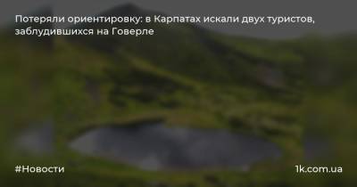 Потеряли ориентировку: в Карпатах искали двух туристов, заблудившихся на Говерле - 1k.com.ua - Украина - Ивано-Франковская обл. - Львовская обл. - Гсчс