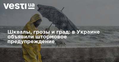 Шквалы, грозы и град: в Украине объявили штормовое предупреждение - vesti.ua - Украина
