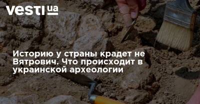 Историю у страны крадет не Вятрович. Что происходит в украинской археологии - vesti.ua