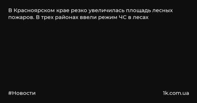 В Красноярском крае резко увеличилась площадь лесных пожаров. В трех районах ввели режим ЧС в лесах - 1k.com.ua - Красноярский край - Енисейск