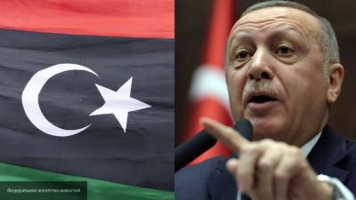Тайип Эрдоган - Ахмад Аль-Мисмарь - Мисмари уверен, что "Каирская декларация" разрушила антиарабские планы Эрдогана - polit.info - Египет - Турция - Ливия