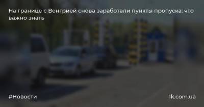На границе с Венгрией снова заработали пункты пропуска: что важно знать - 1k.com.ua - Украина - Венгрия