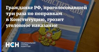 Майя Гришина - Гражданке РФ, проголосовавшей три раза по поправкам в Конституцию, грозит уголовное наказание - nsn.fm - Россия - Израиль - Конституция