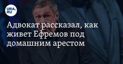 Михаил Ефремов - Сергей Захаров - Эльман Пашаев - Адвокат рассказал, как живет Ефремов под домашним арестом - ura.news - Москва