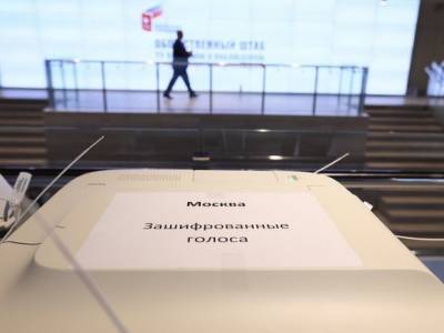 Николай Булаев - ЦИК: Явка на голосование по поправкам в Конституцию составляет 37% - rosbalt.ru - Россия