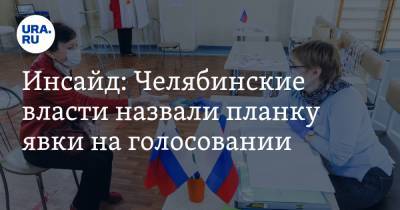 Анатолий Векшин - Инсайд: Челябинские власти назвали планку явки на голосовании - ura.news - Россия - Челябинская обл.