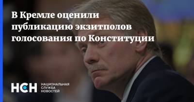 Дмитрий Песков - Элла Памфилова - В Кремле оценили публикацию экзитполов голосования по Конституции - nsn.fm - Россия