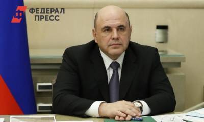 Михаил Мишустин - Число безработных в России увеличилось в 3,5 раза - fedpress.ru - Москва - Россия