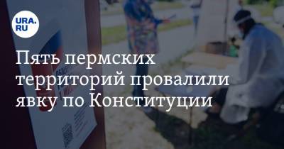 Пять пермских территорий провалили явку по Конституции - ura.news - Пермь - Пермский край - Краснокамск - Александровск