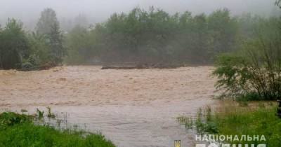 На Прикарпатье нашли тело водителя, автомобиль которого неделю назад упал в реку во время наводнения - tsn.ua - Украина - район Верховинский - район Косовский
