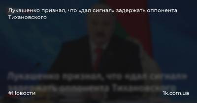 Александр Лукашенко - Сергей Тихановский - Виктор Бабарико - Лукашенко признал, что «дал сигнал» задержать оппонента Тихановского - 1k.com.ua - Украина - Белоруссия