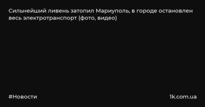 Сильнейший ливень затопил Мариуполь, в городе остановлен весь электротранспорт (фото, видео) - 1k.com.ua - Украина - Мариуполь - район Кальмиусский