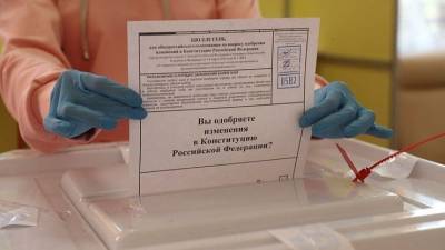 Автор фейка о нарушении голосования вычислили камеры наблюдения - 5-tv.ru - Москва - Россия