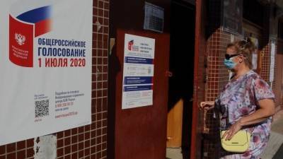 Рост фейков о голосовании по поправкам в Конституцию отметили в Общественной палате - 5-tv.ru - Россия