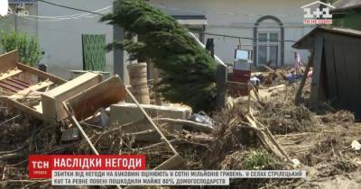 "В домах ничего не осталось": вода из Прута уничтожила все имущество людей в селе на Буковине - tsn.ua - район Кицманский