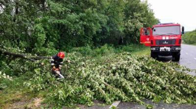 Непогода в Украине: обесточены 35 населенных пунктов - ru.slovoidilo.ua - Украина - Ивано-Франковская обл. - Черновицкая обл. - Львовская обл. - Закарпатская обл. - Гсчс