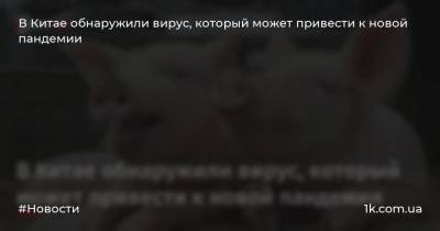 В Китае обнаружили вирус, который может привести к новой пандемии - 1k.com.ua - Китай - Украина - Мексика