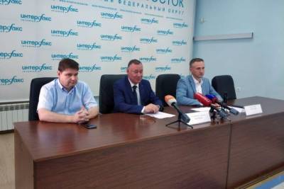 Более 200 тыс жителей Хабкрая уже проголосовали по поправкам в Конституцию - hab.aif.ru - Россия - Хабаровский край - Конституция