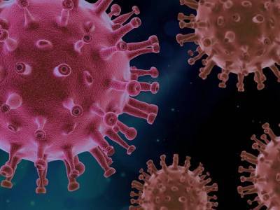 Мэр города в Индонезии на коленях извинилась за эпидемию коронавируса - rosbalt.ru - Россия - Индонезия - Jakarta